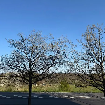 아파트 In Rheinfelden Basel Beuggen