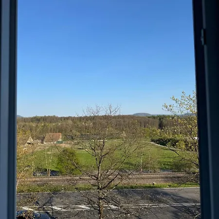 In Rheinfelden Basel 아파트 *