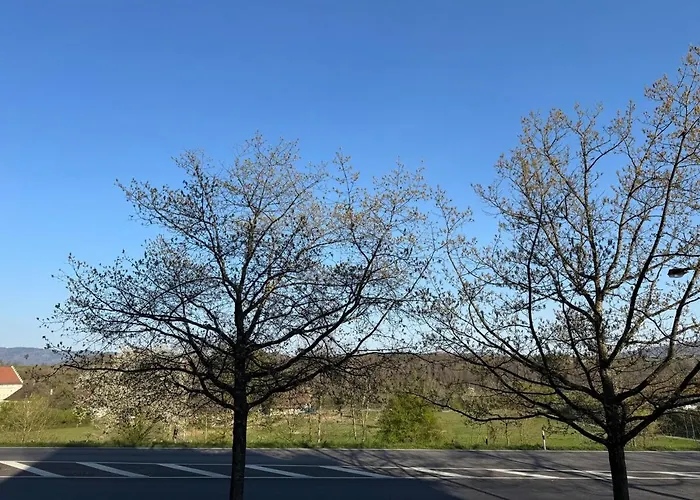 Appartement In Rheinfelden Basel Beuggen